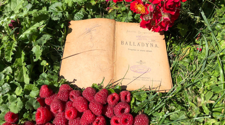 Na trawie nieopodal krzaczka czerwonych kwiatków leży otwarte stare wydanie "Balladyny" Juliusza Słowackiego. Tuż pod książką leżą rozsypane maliny.