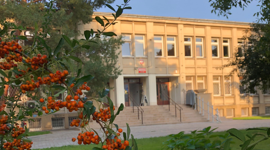 Widok frontowej ściany i wejścia do budynku głównego biblioteki. Po lewej stronie czerwona jarzębina, w tle i po bokach drzewa.