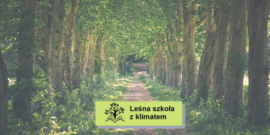 Na dole napis "Leśna szkoła z klimatem", w tle alejka leśna wśród zielonych drzew
