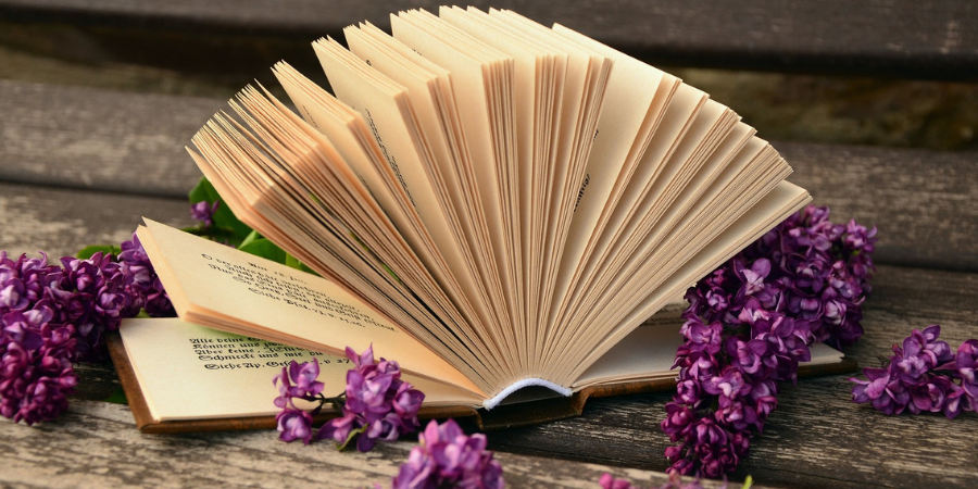 Rozwiane kartki książki leżącej na brązowej ławce, przy książce fioletowe kwiaty bzu