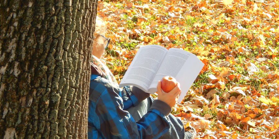 Na trawniku zakrytym opadłymi jesiennymi liśćmi siedzi oparta plecami o pień drzewa ruda dziewczyna. W rękach trzyma otwartą książkę i jabłko.