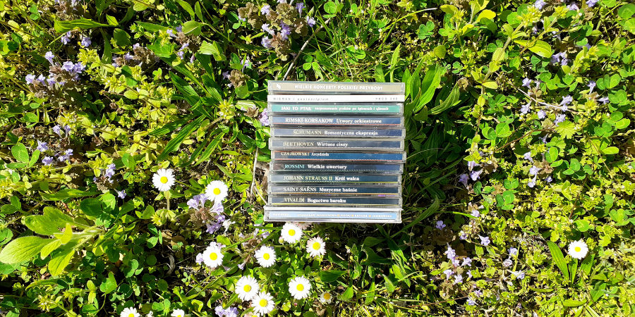 Płyty CD z muzyką ułożone na zielonej trawie, wśród kwiatów