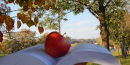 Jabłko na otwartej książce, w tle drzewa z jesiennymi liśćmi