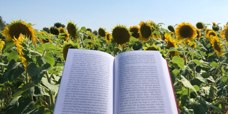 Otwarta książka na tle pola słoneczników.