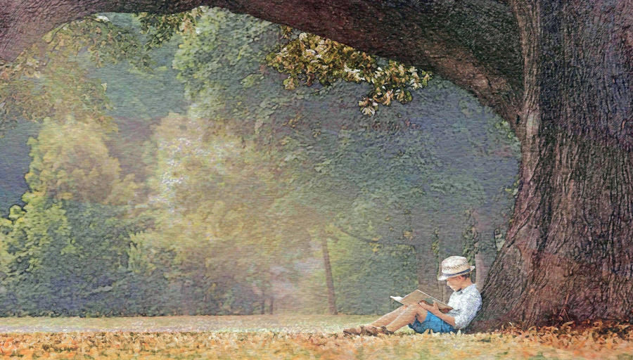 Ilustracja przedstawia siedzącego na ziemi chłopca w białym kapeluszu i niebieskich spodenkach. Dziecko opiera się plecami o duże drzewo i czyta książkę.
