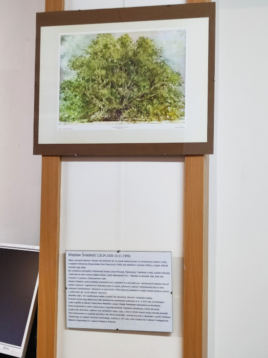 Obraz przedstawiający drzewo liściaste. Pod spodem wiszące informacje o autorze