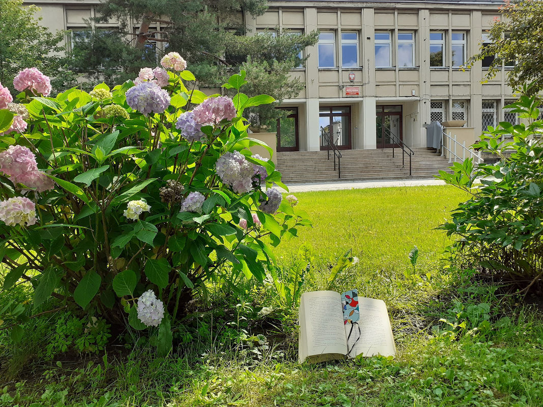 Otwarta książka na trawie przed budynkiem biblioteki.